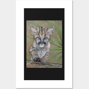 cute baby cougar big cat wildlife Posters and Art